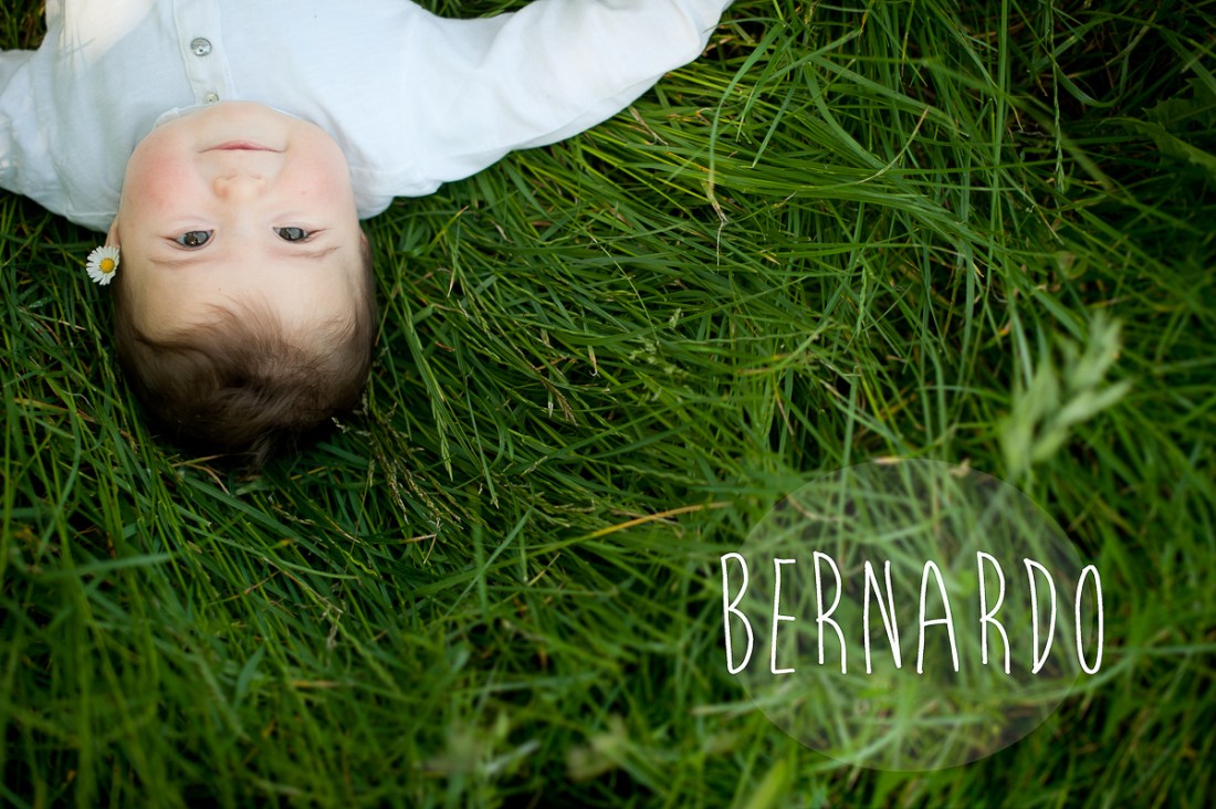 bernardo-01